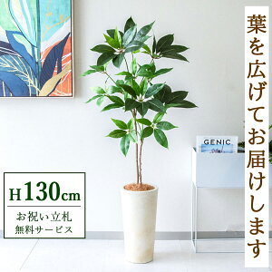 フェイクグリーン ツピタンサス H約130cm 鉢付き / 人工観葉植物 観葉植物 フェイク 造花 店舗 装飾 開店 開業 移転 祝い ギフト プレゼント おしゃれ 住宅展示場 モデルハウス オフィス 立札無