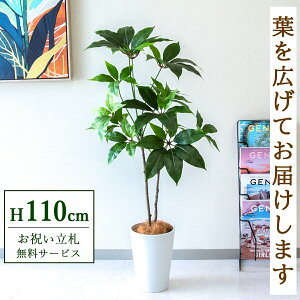 tFCNO[ cs^TX H110cm t / lHϗtA ϗtA tFCN  X  JX J ړ] j Mtg v[g  ZW fnEX ItBX D