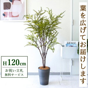 tFCNO[ t@[ H120cm t / lHϗtA ϗtA tFCN  X  JX J ړ] j Mtg v[g  ZW fnEX ItBX D /P