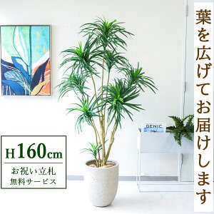 tFCNO[ bJc[ H160cm t / lHϗtA ϗtA tFCN  X  JX J ړ] j Mtg v[g  ZW fnEX ItBX D