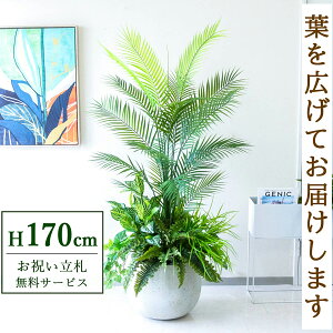 フェイクグリーン アレカパームツリー H約170cm 鉢付き / 人工観葉植物 観葉植物 フェイク 造花 大型 大きいパームツリー 南国 夏 店舗 装飾 開店 開業 移転 祝い ギフト プレゼント おしゃれ