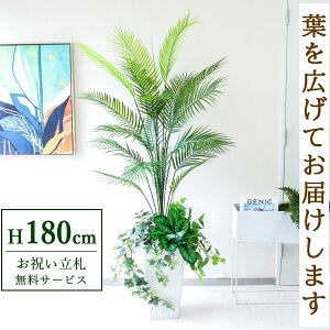 フェイクグリーン アレカパームツリー H約180cm 鉢付き / 人工観葉植物 観葉植物 フェイク 造花 大型 大きいパームツリー 南国 夏 店舗 装飾 開店 開業 移転 祝い ギフト プレゼント おしゃれ