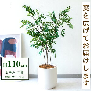 tFCNO[ glR H110cm t / lHϗtA ϗtA tFCN  X  JX J ړ] j Mtg v[g  ZW fnEX ItBX D /P