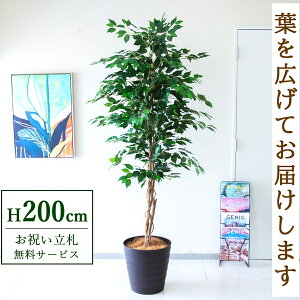 tFCNO[ tBJX xW~ c[ H200cm t / lHϗtA ϗtA tFCN  ^ 傫 X  JX J ړ] j Mtg v[g  ZW 