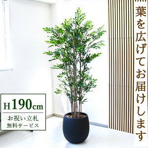 フェイクグリーン トネリコ H約190cm 鉢付き / 人工観葉植物 観葉植物 フェイク 造花 大型 大きい 店舗 装飾 開店 開業 移転 祝い ギフト プレゼント おしゃれ 住宅展示場 モデルハウス オフィ