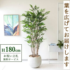 フェイクグリーン トネリコ H約180cm 鉢付き / 人工観葉植物 観葉植物 フェイク 造花 大型 大きい 店舗 装飾 開店 開業 移転 祝い ギフト プレゼント おしゃれ 住宅展示場 モデルハウス オフィ