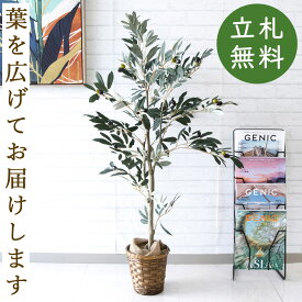 人工 観葉植物 フェイク グリーン オリーブ H約120cm 店舗 装飾 開店 開業 移転 祝い ギフト プレゼント 住宅展示場 モデルハウス オフィス [お祝い立札無料]【PG202-S18 オリーブ H約120cm/バンブー鉢】