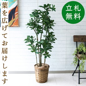 人工 観葉植物 フェイク グリーン シェフレラ H約125cm 店舗 装飾 開店 開業 移転 祝い ギフト プレゼント 住宅展示場 モデルハウス オフィス [お祝い立札無料]【PG204-S24 シェフレラ H約125cm/バンブー鉢】