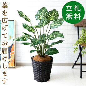 人工観葉植物 フェイクグリーン ゼブラポット H約90cm [お祝い立札無料] 観葉植物 フェイク 造花 開店祝い 開業祝い お祝い おしゃれ インテリア 住宅展示場 店舗【PG214-MEL26DB ゼブラポット H約90cm/バスケット鉢】