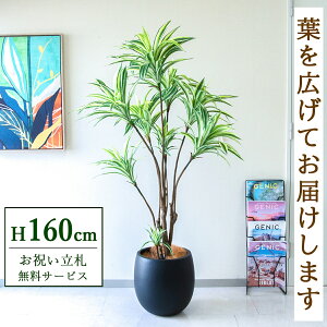 �t�F�C�N�O���[�� �ϗt�A�� �l�H�ϗt�A�� �h���Z�i�C�G���[ 160cm ���t�� / �����D������ �@�l�E�J�X�j�� �X�܁E�I�t�B�X���� ��ԉ��o ����/PG270-BAL35BK