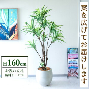 �t�F�C�N�O���[�� �ϗt�A�� �l�H�ϗt�A�� �h���Z�i�C�G���[ 160cm ���t�� / �����D������ �@�l�E�J�X�j�� �X�܁E�I�t�B�X���� ��ԉ��o ����/PG270-BAL35IV