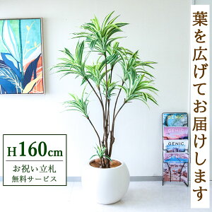 �t�F�C�N�O���[�� �ϗt�A�� �l�H�ϗt�A�� �h���Z�i�C�G���[ 160cm ���t�� / �����D������ �@�l�E�J�X�j�� �X�܁E�I�t�B�X���� ��ԉ��o ����/PG270-ROM43IV