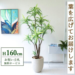 �t�F�C�N�O���[�� �ϗt�A�� �l�H�ϗt�A�� �h���Z�i�C�G���[ 160cm ���t�� / ���D���� �������� �@�l�E�J�X�j�� �X�܁E�I�t�B�X���� ��ԉ��o ����/PG270-SFO31IV