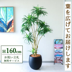 �t�F�C�N�O���[�� �ϗt�A�� �l�H�ϗt�A�� ���b�J�c���[ 160cm ���t�� / �����D������ �@�l�E�J�X�j�� �X�܁E�I�t�B�X���� ��ԉ��o ����/PG271-BAL35BK
