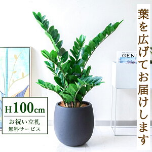 �t�F�C�N�O���[�� �ϗt�A�� �l�H�ϗt�A�� �U�~�t�H���A 100cm ���t�� / ���D���� �������� �@�l�E�J�X�j�� �X�܁E�I�t�B�X���� ��ԉ��o ����/PG274-BAL30BK