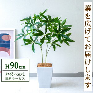 �t�F�C�N�O���[�� �ϗt�A�� �l�H�ϗt�A�� �p�L�� 90cm ���t�� / ���D���� �������� �@�l�E�J�X�j�� �X�܁E�I�t�B�X���� ��ԉ��o ����/PG277-Q20WH