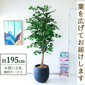 �t�F�C�N�O���[�� �ϗt�A�� �l�H�ϗt�A�� �t�B�J�X �x���W���~�� ��^ 195cm ���t�� / ���D���� �������� �@�l�E�J�X�j�� �X�܁E�I�t�B�X���� ��ԉ��o ����/PG278-BAL42BK