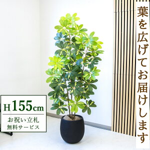 �t�F�C�N�O���[�� �ϗt�A�� �l�H�ϗt�A�� �V�F�t���� �J�|�b�N 155cm ���t�� / ���D���� �������� �@�l�E�J�X�j�� �X�܁E�I�t�B�X���� ��ԉ��o ����/PG282-BAL30BK