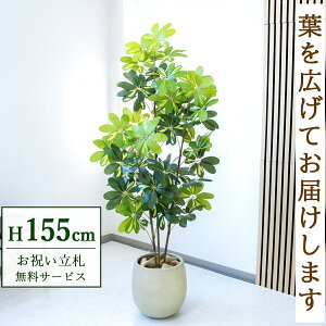 �t�F�C�N�O���[�� �ϗt�A�� �l�H�ϗt�A�� �V�F�t���� �J�|�b�N 155cm ���t�� / ���D���� �������� �@�l�E�J�X�j�� �X�܁E�I�t�B�X���� ��ԉ��o ����/PG282-BAL30IV
