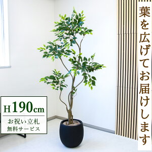 �t�F�C�N�O���[�� �ϗt�A�� �l�H�ϗt�A�� �t�B�J�X �x���W���~�� ��^ 190cm ���t�� / ���D���� �������� �@�l�E�J�X�j�� �X�܁E�I�t�B�X���� ��ԉ��o ����/PG284-BAL35BK