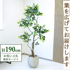 �t�F�C�N�O���[�� �ϗt�A�� �l�H�ϗt�A�� �t�B�J�X �x���W���~�� ��^ 190cm ���t�� / ���D���� �������� �@�l�E�J�X�j�� �X�܁E�I�t�B�X���� ��ԉ��o ����/PG284-BAL35IV