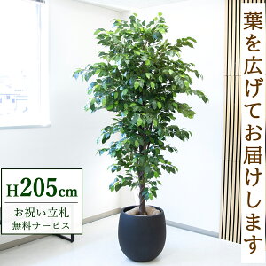 �t�F�C�N�O���[�� �ϗt�A�� �l�H�ϗt�A�� �t�B�J�X �x���W���~�� ��^ 205cm ���t�� / ���D���� �������� �@�l�E�J�X�j�� �X�܁E�I�t�B�X���� ��ԉ��o ����/PG285-BAL42BK