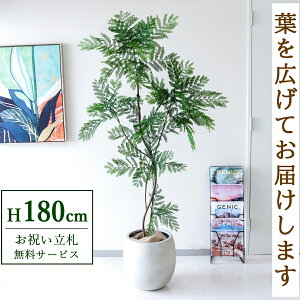 �t�F�C�N�O���[�� �ϗt�A�� �l�H�ϗt�A�� �G�o�[�t���b�V�� ��^ 180cm ���t�� / ���D���� �������� �@�l�E�J�X�j�� �X�܁E�I�t�B�X���� ��ԉ��o ����/PG287-BAL35IV