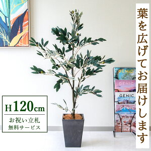 �t�F�C�N�O���[�� �ϗt�A�� �l�H�ϗt�A�� �I���[�u 120cm ���t�� / ���D���� �������� �@�l�E�J�X�j�� �X�܁E�I�t�B�X���� ��ԉ��o ����/PG289-Q20BK