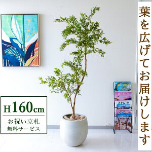 �t�F�C�N�O���[�� �ϗt�A�� �l�H�ϗt�A�� �|���V���X 160cm ���t�� / ���D���� �������� �@�l�E�J�X�j�� �X�܁E�I�t�B�X���� ��ԉ��o ����/PG292-BAL35IV