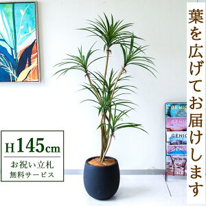 �t�F�C�N�O���[�� �ϗt�A�� �l�H�ϗt�A�� ���b�J 145cm ���t�� / ���D���� �������� �@�l�E�J�X�j�� �X�܁E�I�t�B�X���� ��ԉ��o ����/PG296-BAL30BK