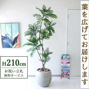 フェイクグリーン エバーフレッシュ H約210cm 鉢付き / 人工観葉植物 観葉植物 フェイク 造花 大型 大きい 店舗 装飾 開店 開業 移転 祝い ギフト プレゼント おしゃれ 住宅展示場 モデルハウス