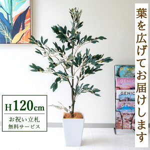 フェイクグリーン オリーブ H約120cm 鉢付き / 人工観葉植物 観葉植物 フェイク 造花 大型 大きい 店舗 装飾 開店 開業 移転 祝い ギフト プレゼント おしゃれ 住宅展示場 モデルハウス オフィ