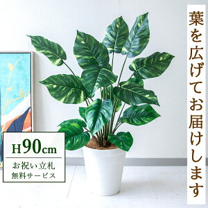 tFCNO[ |gX H90cm t / lHϗtA ϗtA tFCN  ^ 傫 X  JX J ړ] j Mtg v[g  ZW fnEX ItBX 