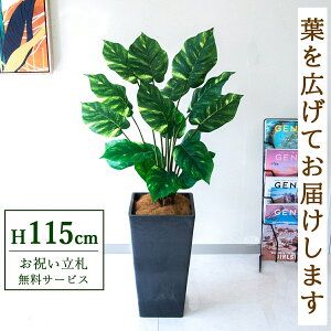 tFCNO[ |gX H115cm t / lHϗtA ϗtA tFCN  X  JX J ړ] j Mtg v[g  ZW fnEX ItBX D /PG29