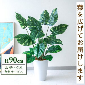 tFCNO[ |gX H90cm t / lHϗtA ϗtA tFCN  ^ 傫 X  JX J ړ] j Mtg v[g  ZW fnEX ItBX 