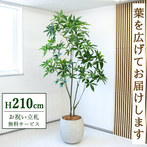 �y���������z �t�F�C�N�O���[�� �p�L�� 210cm ��^ ���t�� / �@�l�E�J�X�j�� �X�܁E�I�t�B�X���� ��ԉ��o ���D�����E����/PG301-BAL42BK