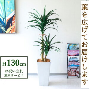 �t�F�C�N�O���[�� �ϗt�A�� �l�H�ϗt�A�� �h���Z�i�R���V�i 130cm ���t�� / ���D���� �������� �@�l�E�J�X�j�� �X�܁E�I�t�B�X���� ��ԉ��o ����/PG014-Q25WH
