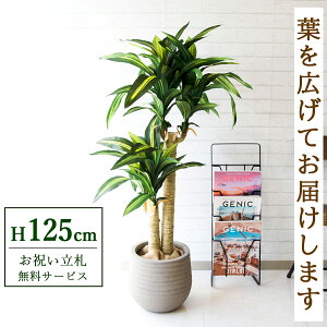 tFCNO[ }bT(K̖) H125cm t / lHϗtA ϗtA tFCN  X  JX J ړ] j Mtg v[g  ZW fnEX ItBX 