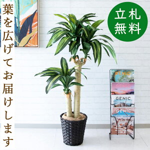 tFCNO[ }bT(K̖) H125cm t / lHϗtA ϗtA tFCN  X  JX J ړ] j Mtg v[g  ZW fnEX ItBX 