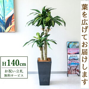 �t�F�C�N�O���[�� �ϗt�A�� �l�H�ϗt�A�� �K���̖� �h���Z�i �}�b�T���Q�A�i 140cm ���t�� / ���D���� �������� �@�l�E�J�X�j�� �X�܁E�I�t�B�X���� ��ԉ��o ����/PG016-Q25BK