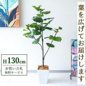 �t�F�C�N�O���[�� �ϗt�A�� �l�H�ϗt�A�� �t�B�J�X �E���x���[�^ 130cm ���t�� / �����D������ �@�l�E�J�X�j�� �X�܁E�I�t�B�X���� ��ԉ��o ����/PG077-Q20WH