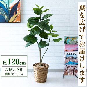 フェイクグリーン ウンベラータ H約120cm 鉢付き / 人工観葉植物 観葉植物 フェイク 造花 店舗 装飾 開店 開業 移転 祝い ギフト プレゼント おしゃれ 住宅展示場 モデルハウス オフィス 立札無