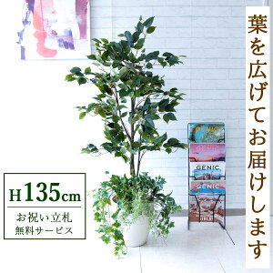 tFCNO[ tBJX xW~ H135cm t / lHϗtA ϗtA tFCN  X  JX J ړ] j Mtg v[g  ZW fnEX ItB