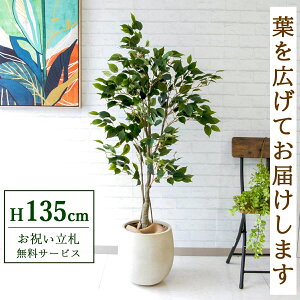 tFCNO[ tBJX xW~ H135cm t / lHϗtA ϗtA tFCN  X  JX J ړ] j Mtg v[g  ZW fnEX ItB
