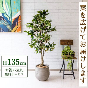 tFCNO[ tBJX xW~ H135cm t / lHϗtA ϗtA tFCN  X  JX J ړ] j Mtg v[g  ZW fnEX ItB