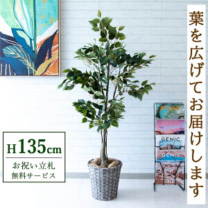 tFCNO[ tBJX xW~ H135cm t / lHϗtA ϗtA tFCN  X  JX J ړ] j Mtg v[g  ZW fnEX ItB