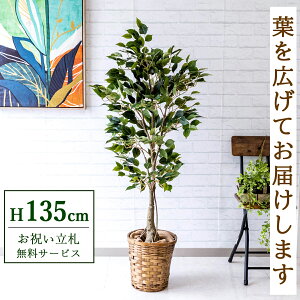 tFCNO[ tBJX xW~ H135cm t / lHϗtA ϗtA tFCN  X  JX J ړ] j Mtg v[g  ZW fnEX ItB