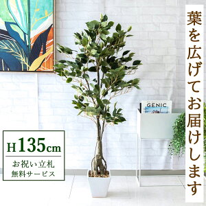 tFCNO[ tBJX xW~ H135cm t / lHϗtA ϗtA tFCN  X  JX J ړ] j Mtg v[g  ZW fnEX ItB