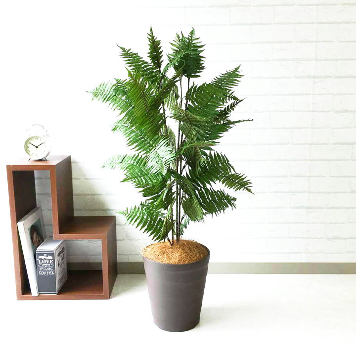 楽天市場 人工観葉植物 フェイクグリーン ハワイアンシダー H約100cm お祝い立札無料 観葉植物 フェイク おしゃれ アーティフィシャルグリーン 観葉樹木 人工樹木 インテリア 新築祝い 住宅展示場 オフィス 開業祝い Pg086 B240br ハワイアンシダー H約100cm 楽天市場 人工観葉植物 フェイクグリーン ハワイアンシダー H約100cm お祝い立札無料 観葉植物 フェイク おしゃれ アーティフィシャルグリーン 観葉樹木 人工樹木 インテリア 新築祝い 住宅展示場 オフィス 開業祝い Pg086 B240br ハワイアンシダー H約100cm