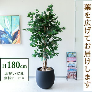 tFCNO[ tBJX xW~ c[ H180cm t / lHϗtA ϗtA tFCN  ^ 傫 X  JX J ړ] j Mtg v[g  ZW 
